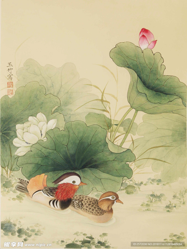 荷花鸳鸯