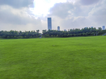 草坪 草背景 草纹理 绿草地