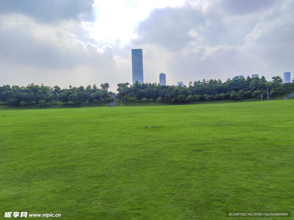 草坪 草背景 草纹理 绿草地