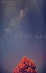 星空 璀璨 唯美 底图 树木