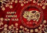 2019猪年海报素材