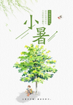 小暑广告