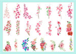 花瓣