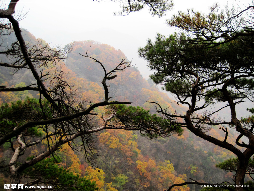 山景秋色