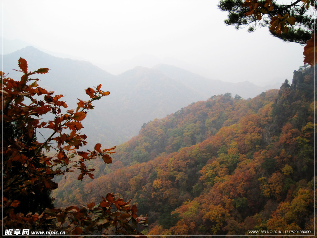 山景秋色