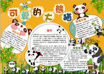 动物小报