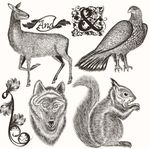 北欧手绘野生动物黑白插画