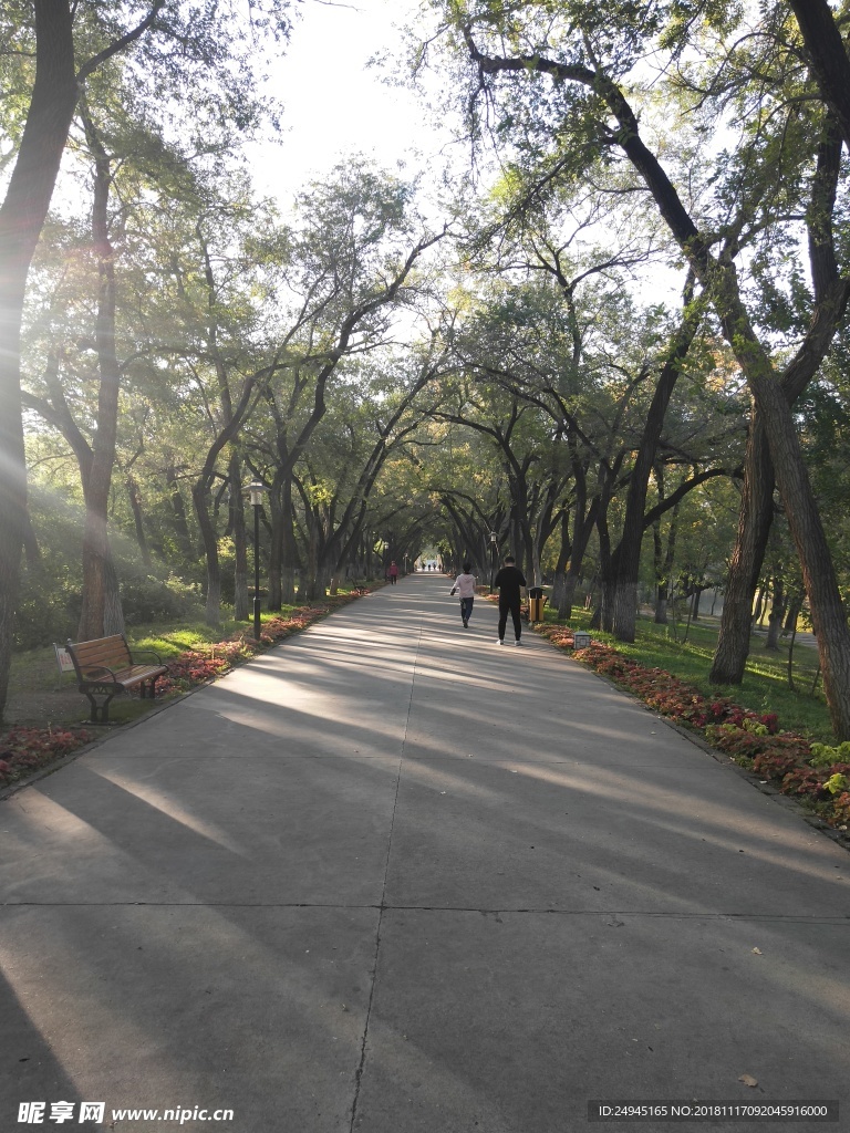 龙沙公园景色