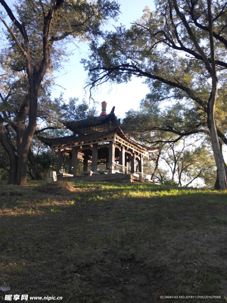 龙沙公园亭