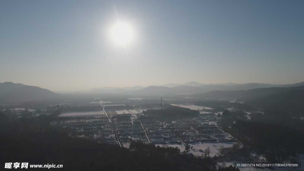 冬