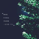 夜晚