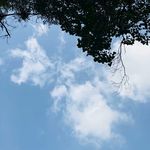 蓝天