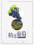 葡萄海报