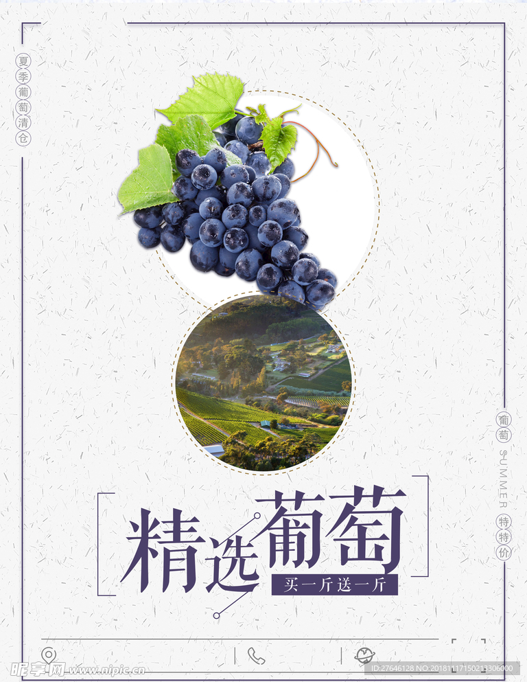 葡萄海报