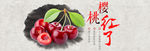 樱桃