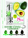 牛油果