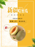 哈密瓜