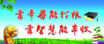 校园版面