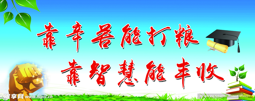 校园版面
