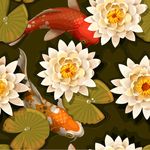 锦鲤矢量