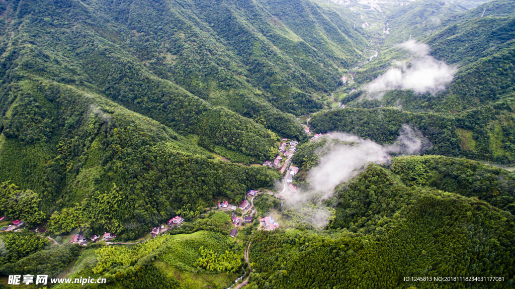 森林美景