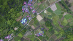 乡村