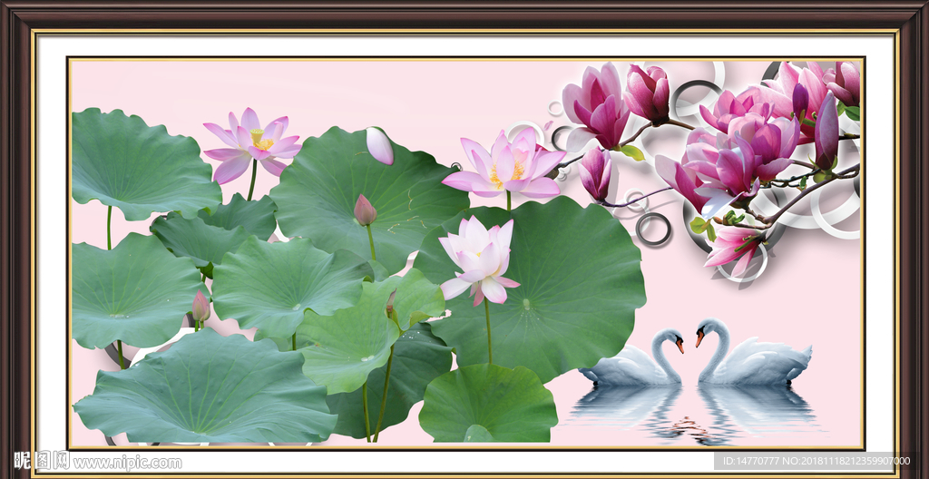 国画荷花