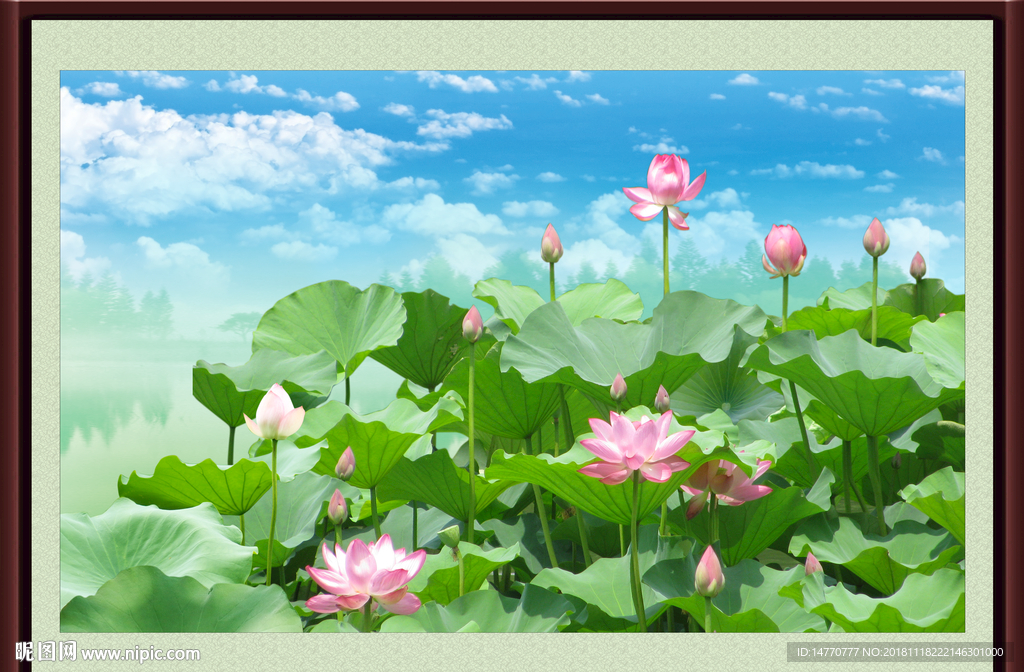 国画荷花