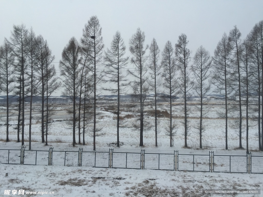 雪景