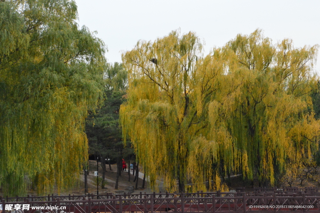 金秋圆明园