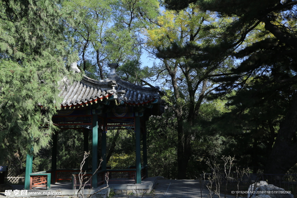 金秋植物园