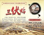三伏贴
