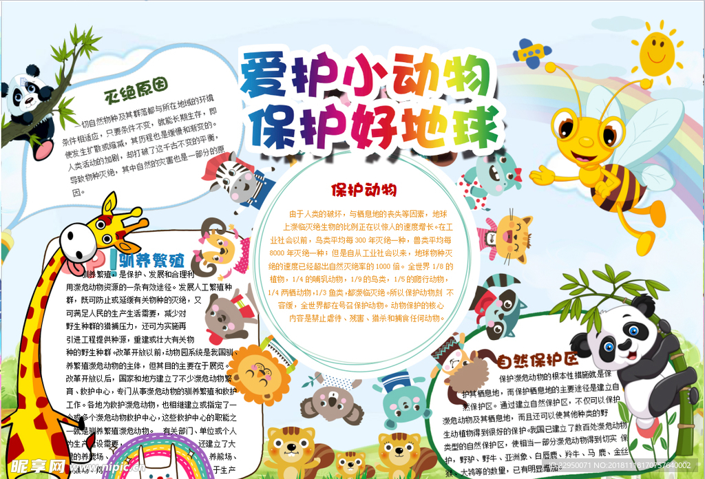 小动物小报