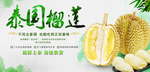 榴莲海报素材