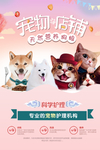 宠物店铺猫粮狗粮宠物促销海报
