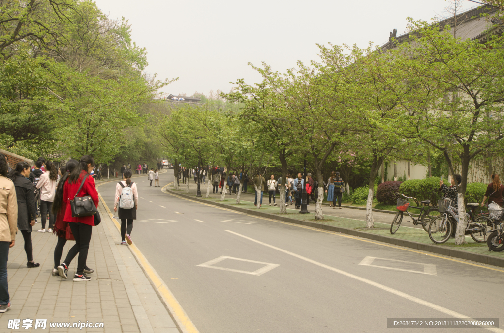 南京 道路 鸡鸣寺路