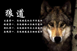 狼精神