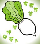 白萝卜