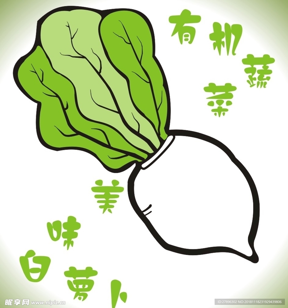 白萝卜