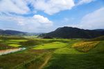 旅游风景 田野