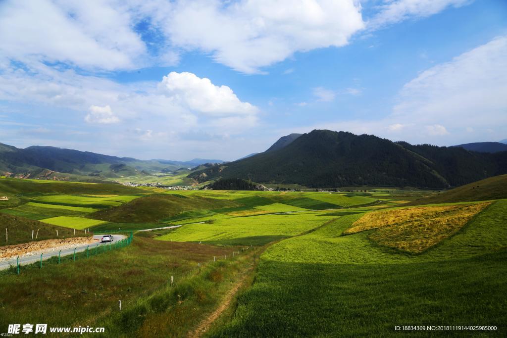 旅游风景 田野