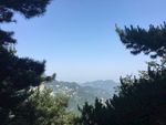 泰山风景