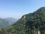泰山