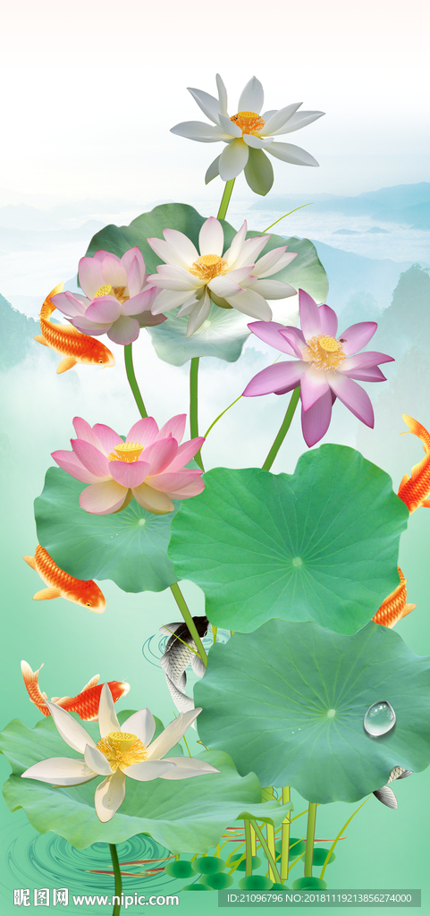 荷花3d玄关