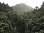 张家界风景 张家界风光 张家