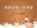 饼干烘焙活动