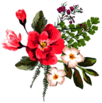 红色花卉