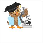 卡通教学图片