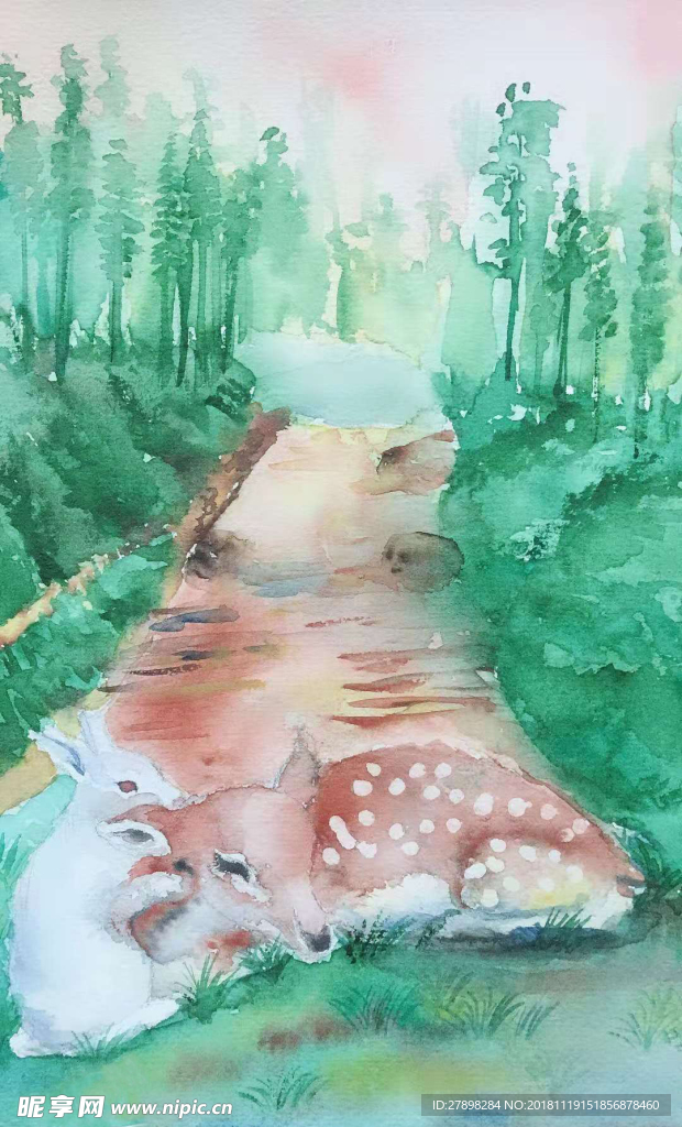 小鹿与白兔