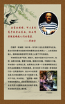 毕加索挂画